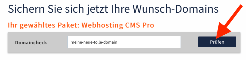 Webgo Domain prüfen
