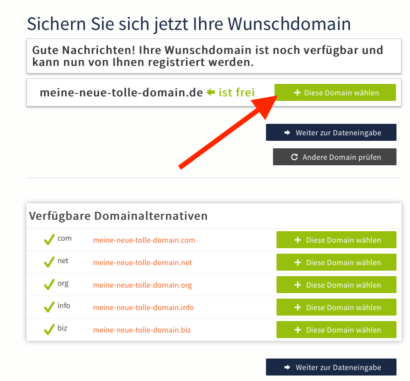 Webgo Domain auswählen