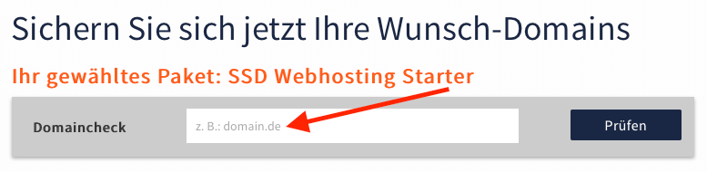 Domaincheck bei webgo